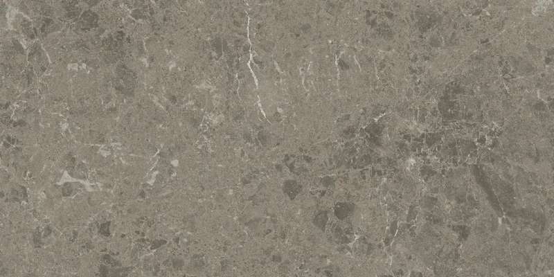 Керамогранит Marvel Meraviglia Grigio Elegante 30x60 Lapp. (AJJI)
