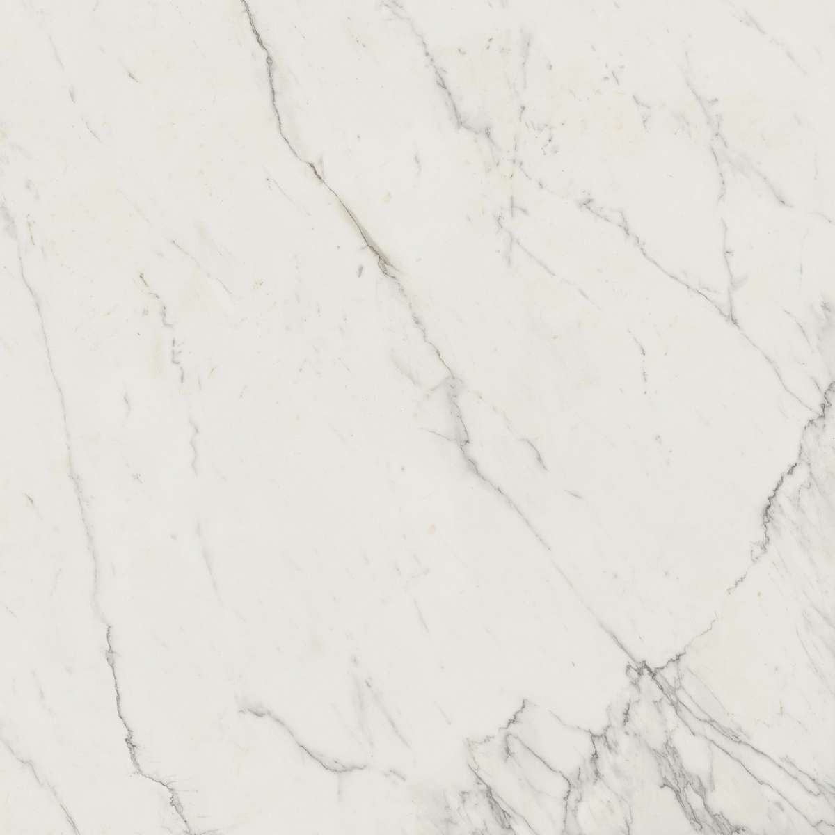 Керамогранит Marvel Calacatta Extra 120x120 (A20Y)