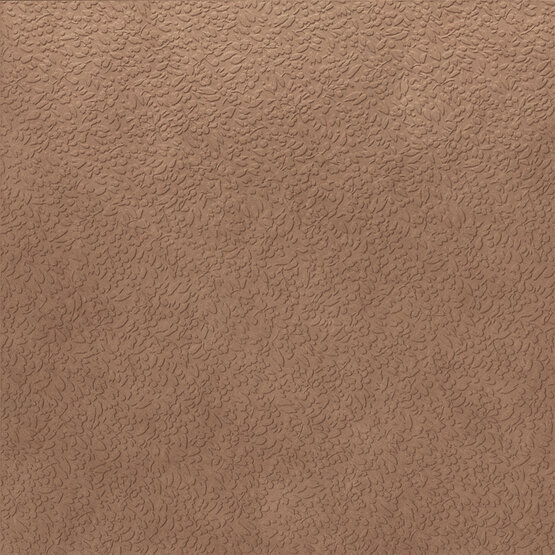 Керамогранит Ape Ceramica Nisus Terra Rect 120х120