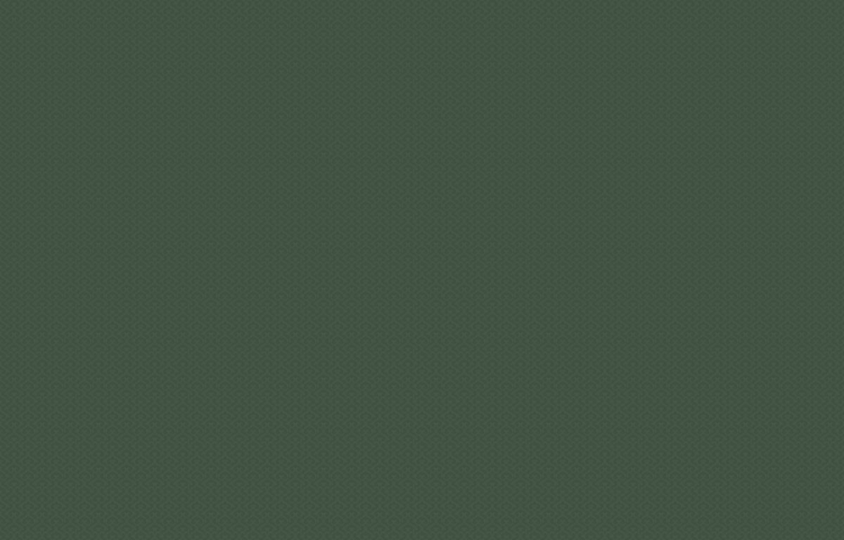 MIR4 005 Обои HYGGE Roll (Made in Russia) (1*6) 10,05x1,00 флизелин