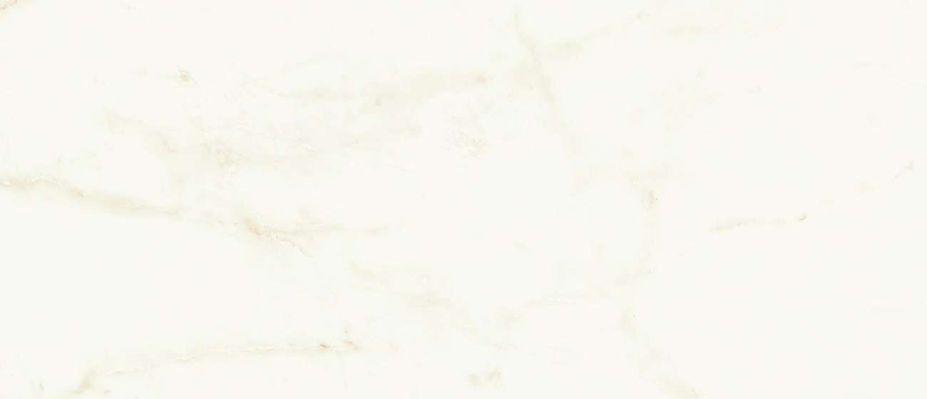 Плитка Marvel Calacatta Delicato 50x120 Silk (A4TT)