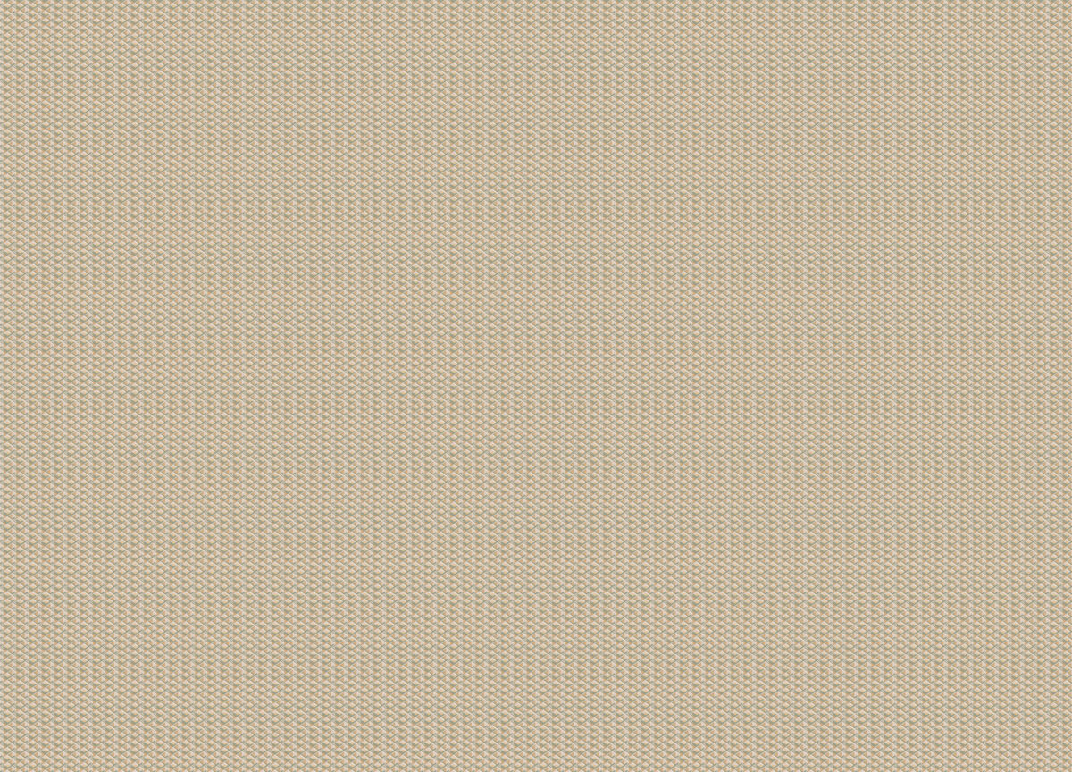 15504 Обои Zambaiti (Mini Trend) (1*6) 10,05x0,53 винил на флизелине