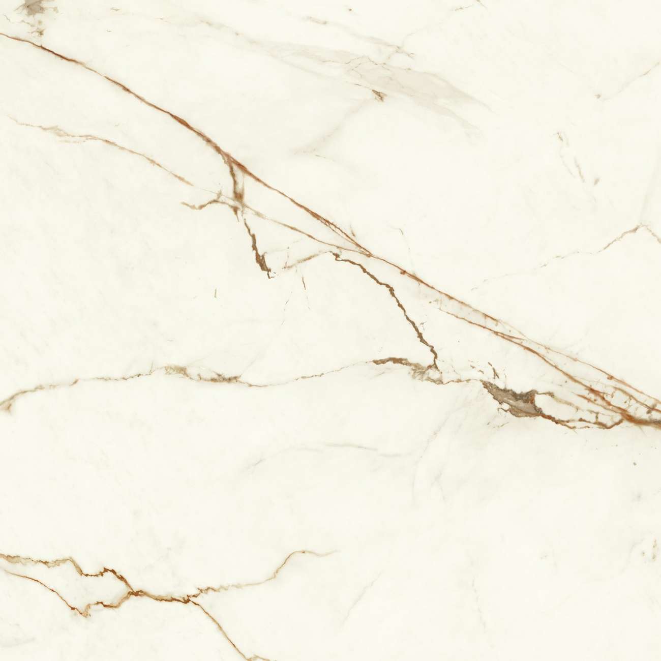 Керамогранит Marvel Calacatta Imperiale 120x120 Matt (A4Q7)