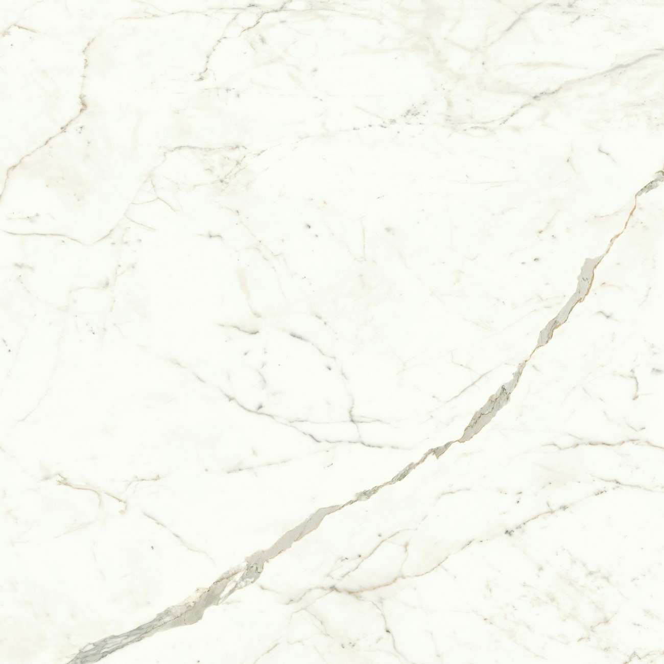 Керамогранит Marvel Calacatta Prestigio 120x120 Matt (A4Q5)