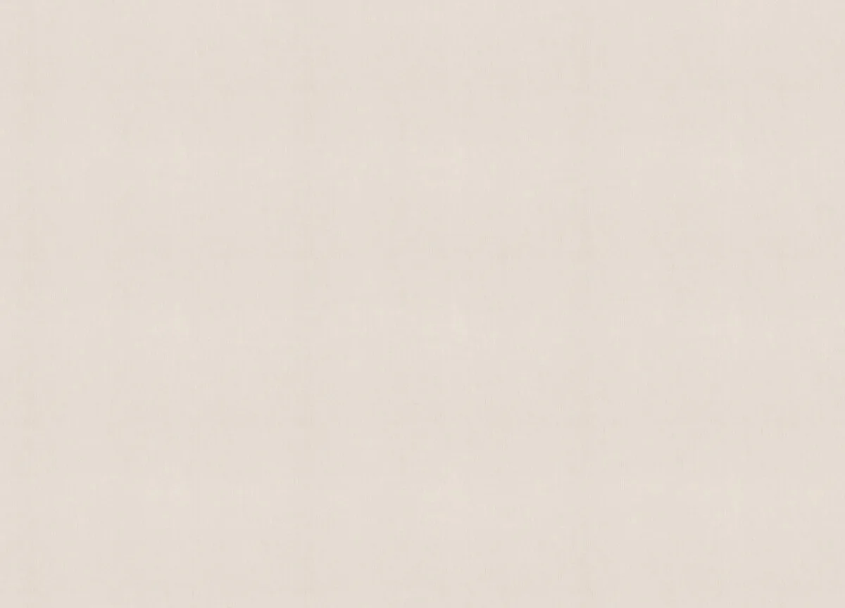 990270 Обои Rasch (Unitex) (1*6) 10,05x1,06 винил на флизелине