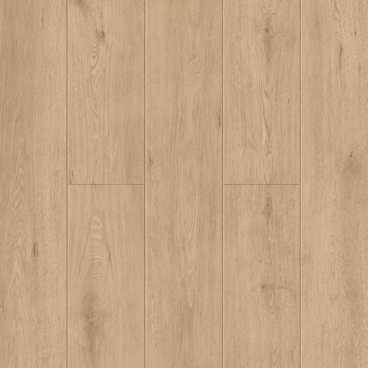 Dor 1006-6