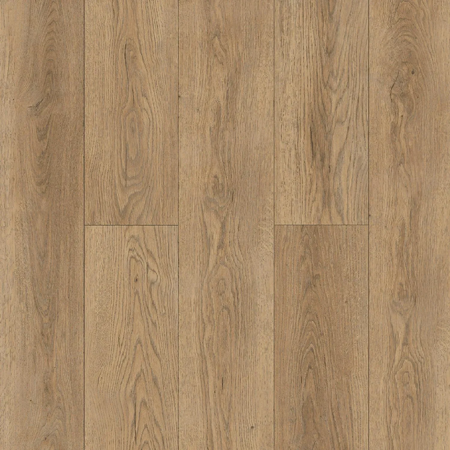 Gaula 1022-21