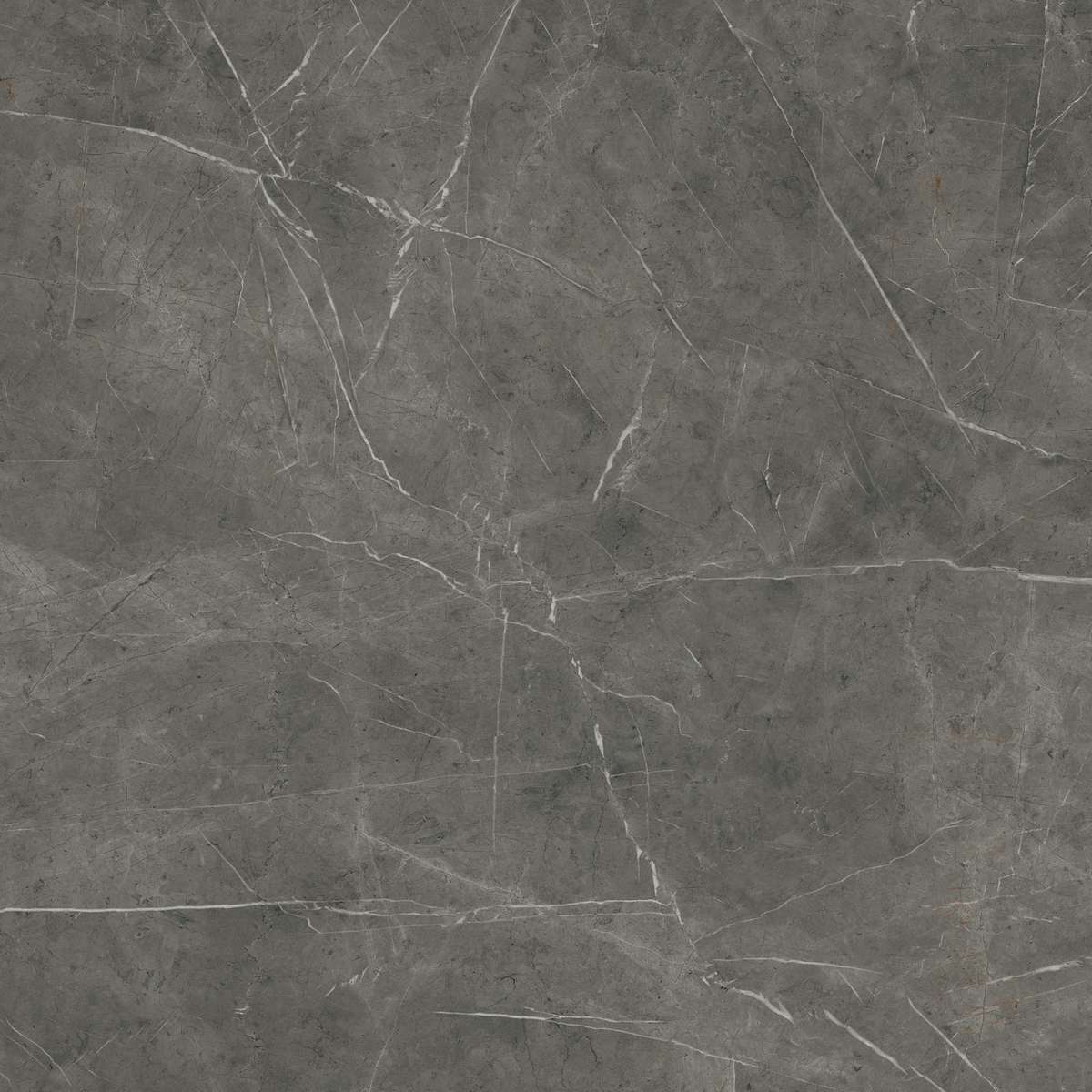 Керамогранит Marvel Grey Stone 120x120 (AEQY)