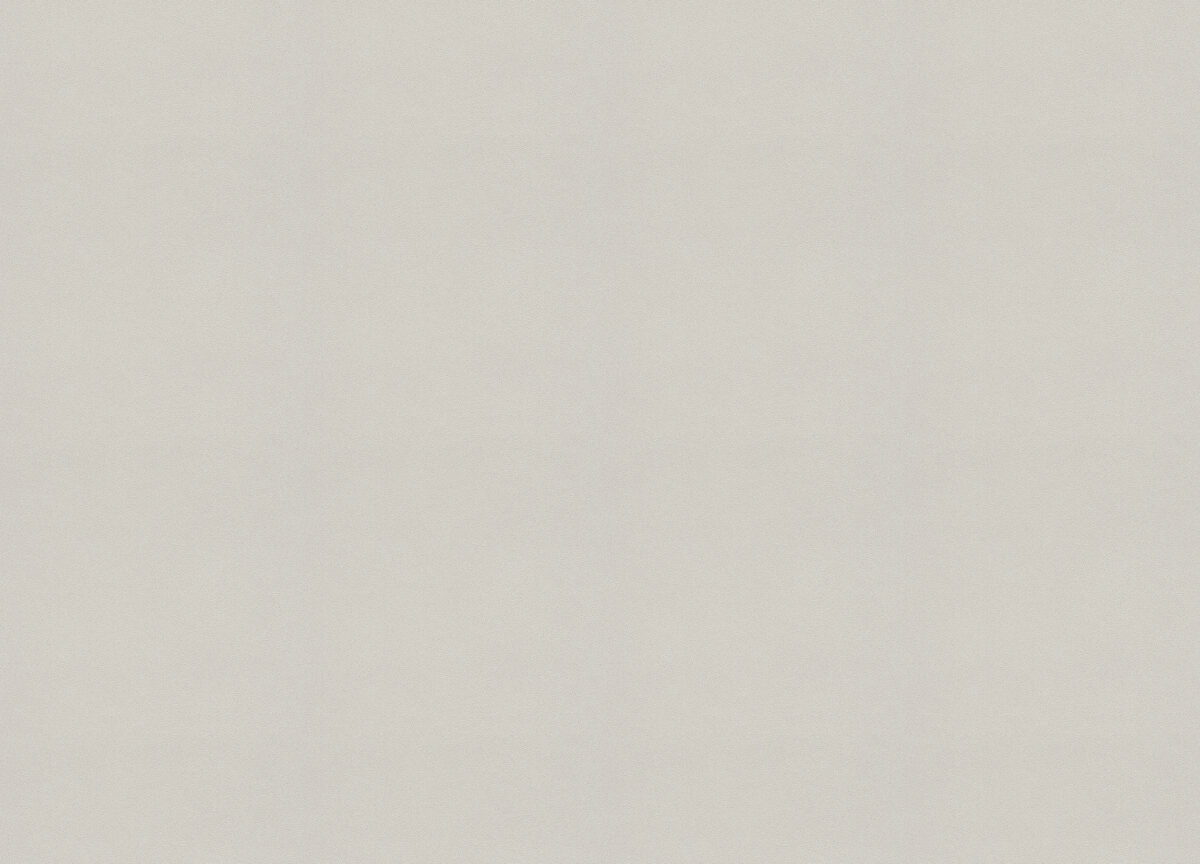 479430 Обои Rasch (Allegretto) (1*12) 10,05x0,53 винил на флизелине