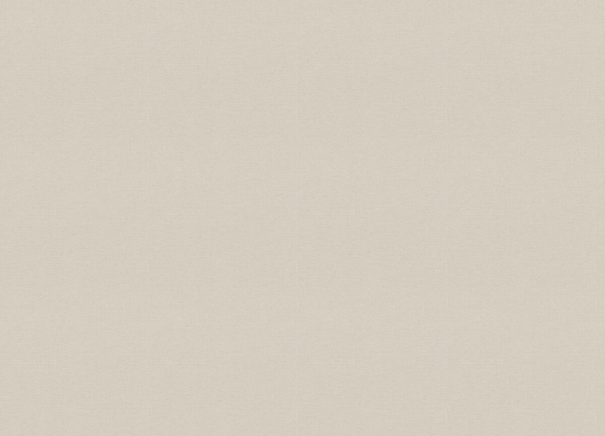 448634 Обои Rasch (Beltesto) (1*12) 10,05x0,53 винил на флизелине