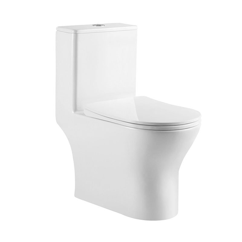 Унитаз-моноблок безободковый BelBagno Lounge BB8618CPR-MN/SC с крышкой сиденьем микролифт, белый