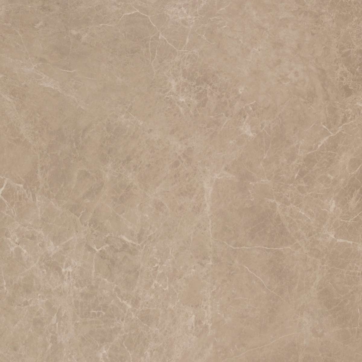 Керамогранит Marvel Elegant Sable 60x60 (AEOB)