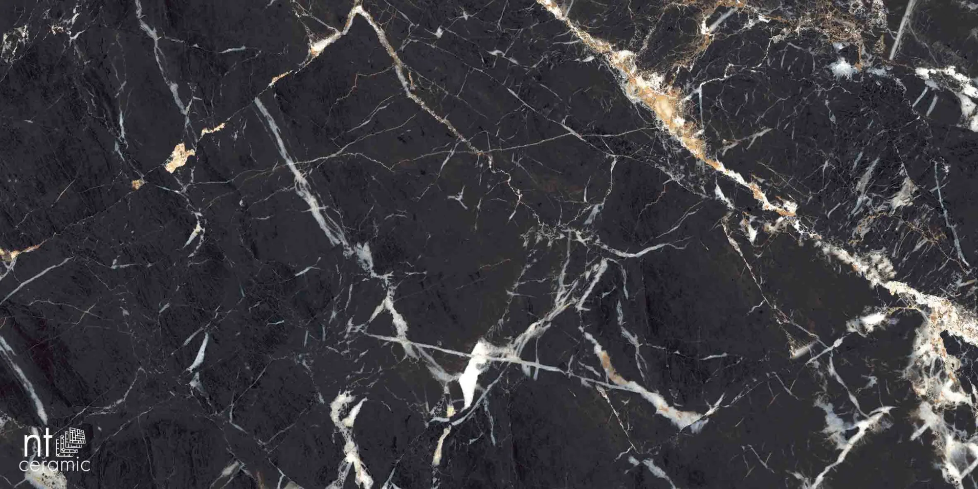 Керамогранит Black Lamos High Gloss