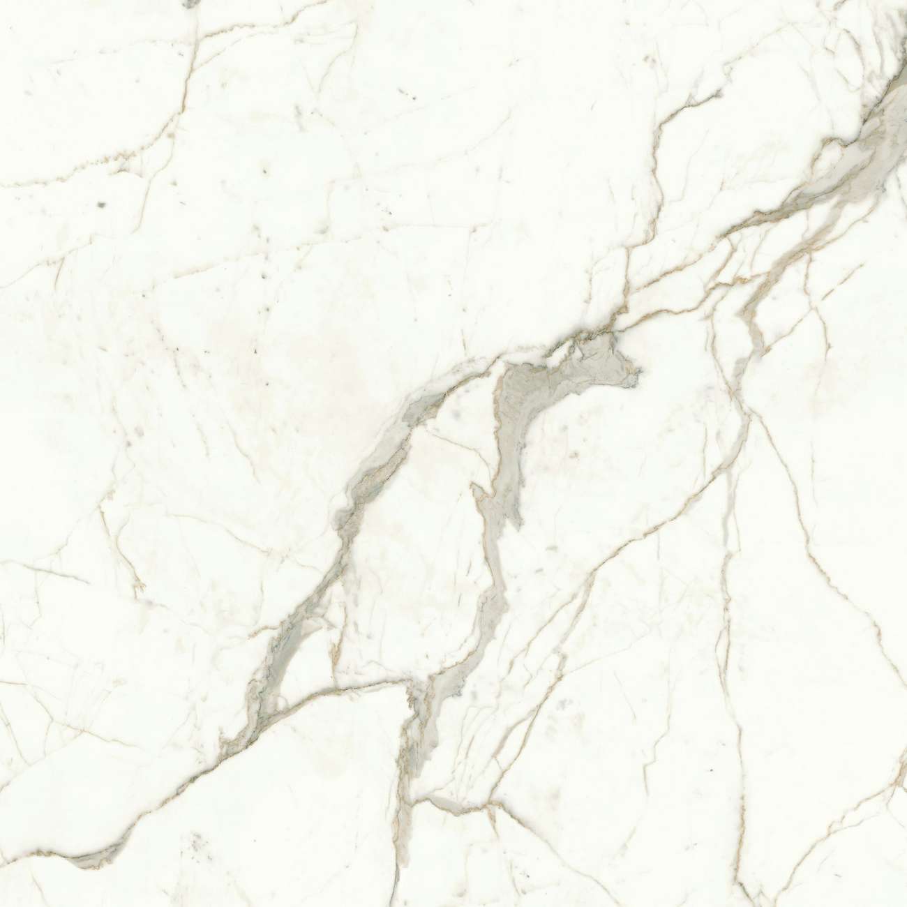Керамогранит Marvel Calacatta Prestigio 120x120 Matt (A4Q5)