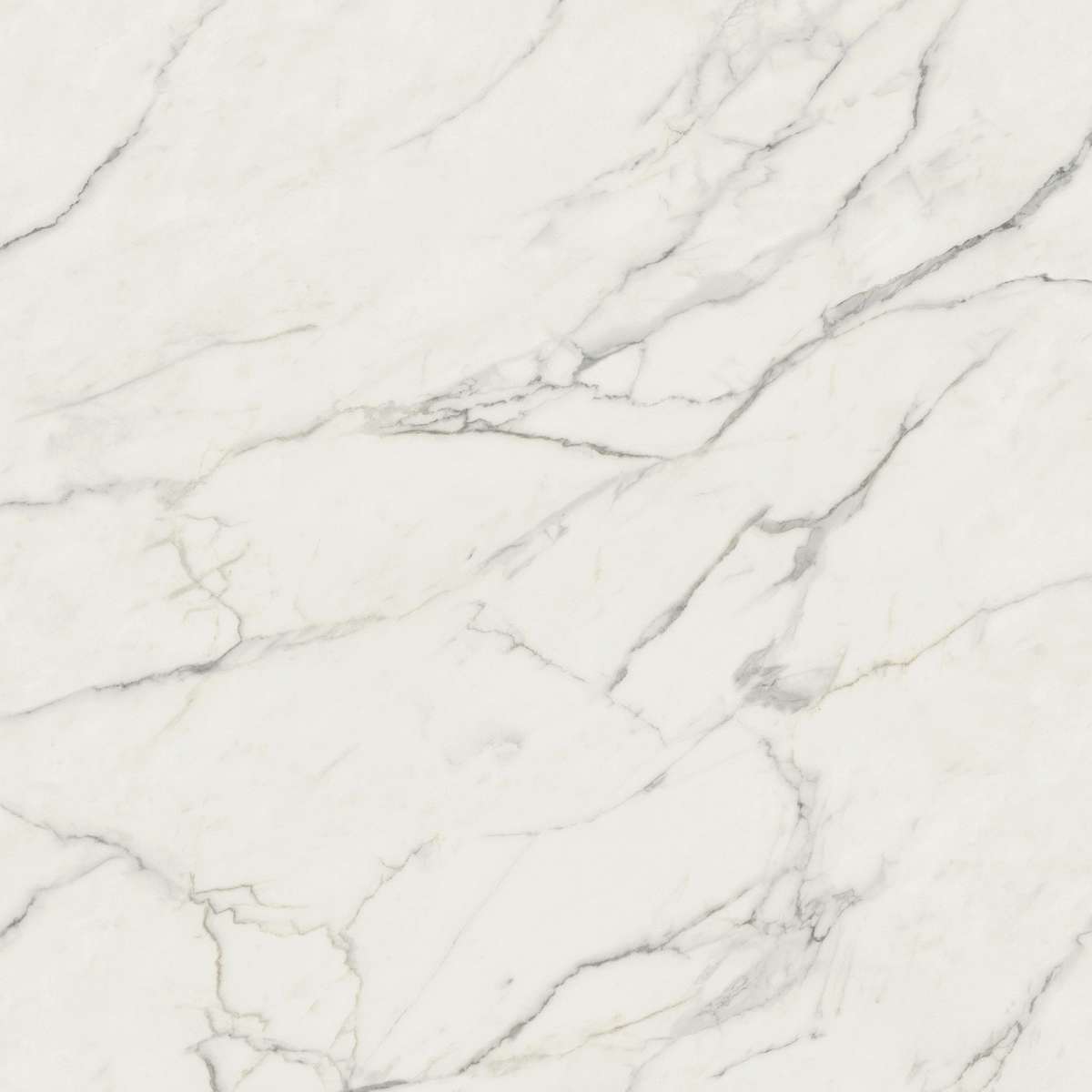 Керамогранит Marvel Calacatta Extra 160x160RT Matt (AO54)