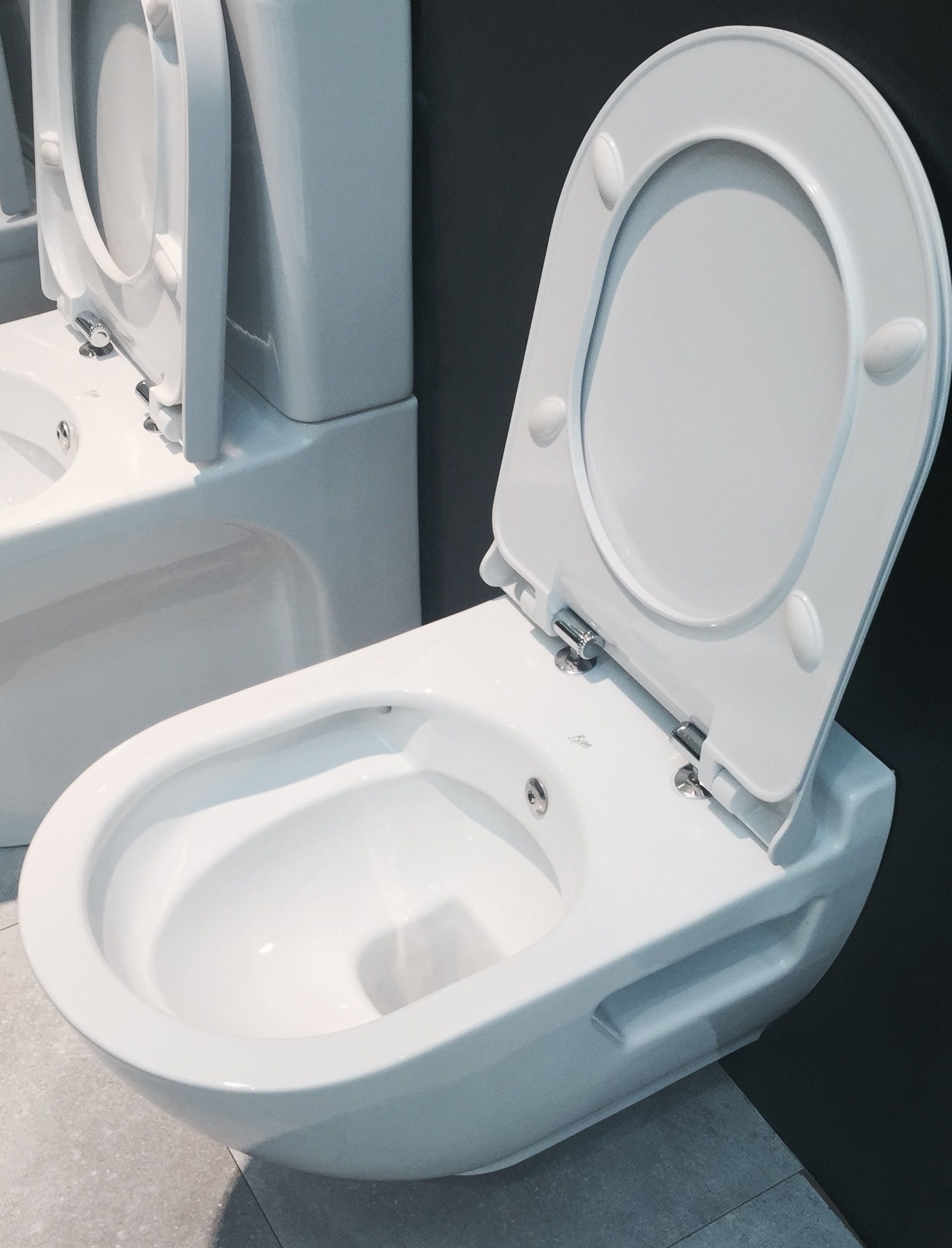 Унитаз подвесной безободковый Bien Harmony HRKA052N2VP1W5000 с функцией биде, с крышкой-сиденьем микролифт, белый