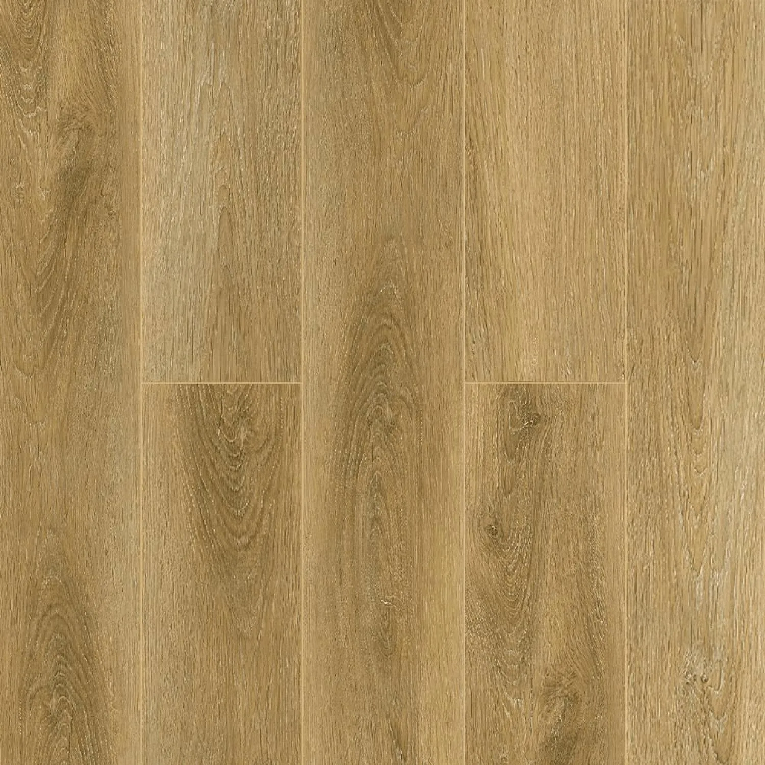 COSTANTE 1004-5