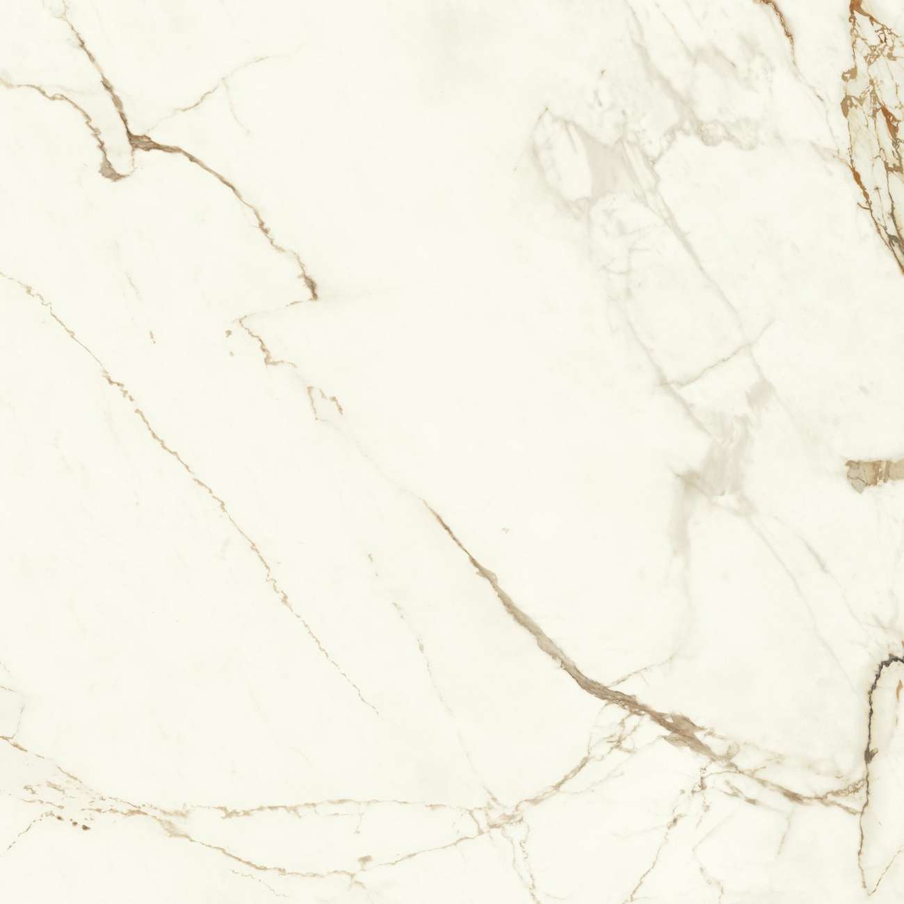 Керамогранит Marvel Calacatta Imperiale 120x120 Matt (A4Q7)