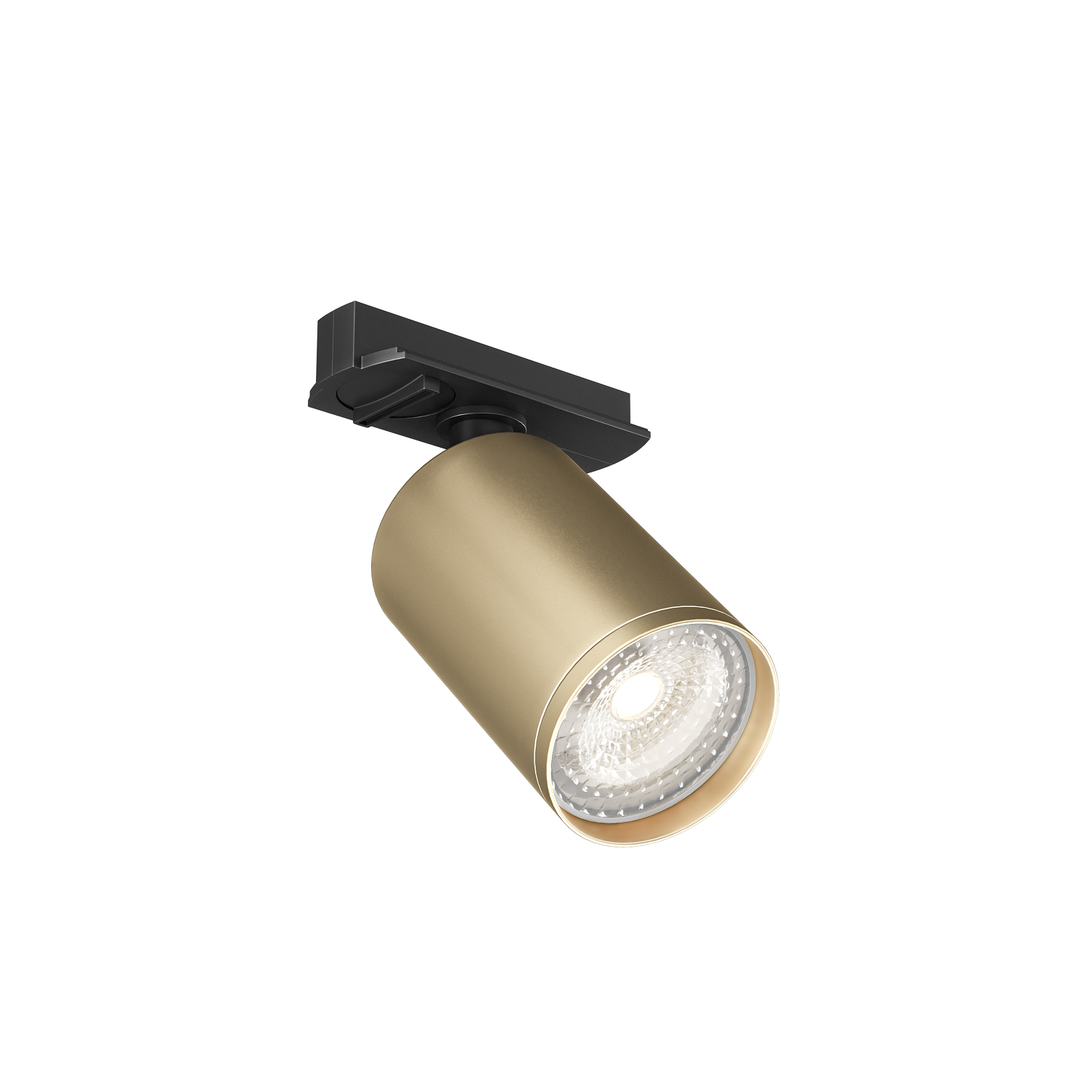 Трековый светильник Denkirs DK6201-BG