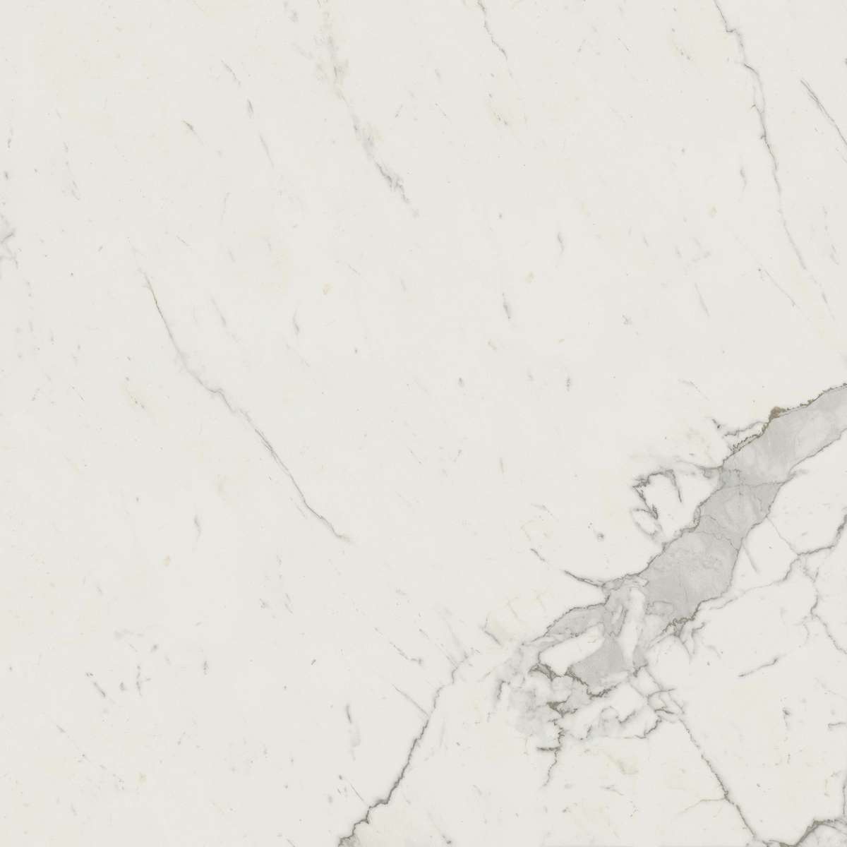 Керамогранит Marvel Calacatta Extra 120x120 (A20Y)