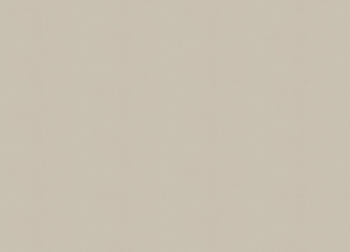 A100308 Обои ARTSIMPLE (Mixture) (1*6) 10,00x1,06 винил на флизелине