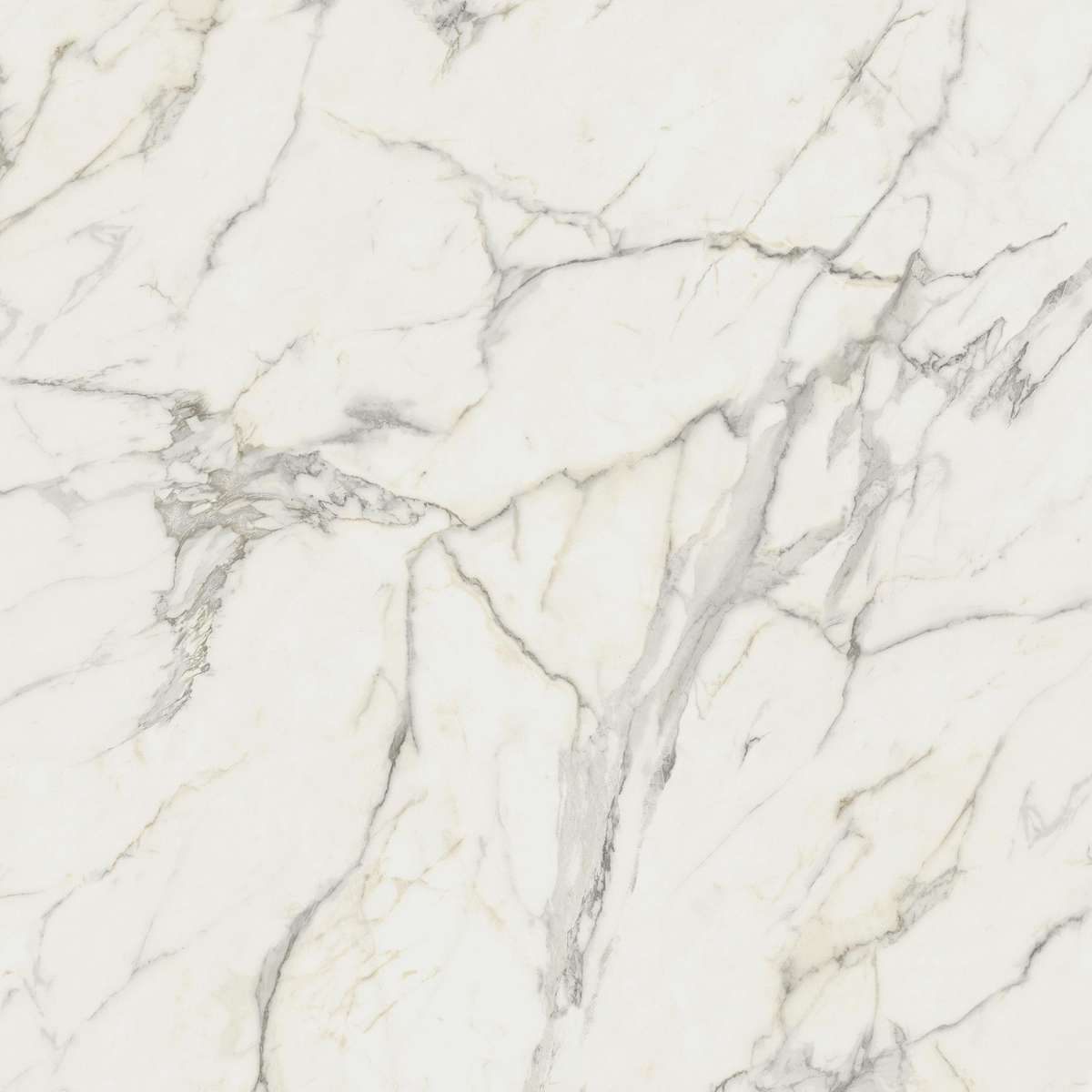Керамогранит Marvel Calacatta Extra 120x120 (A20Y)