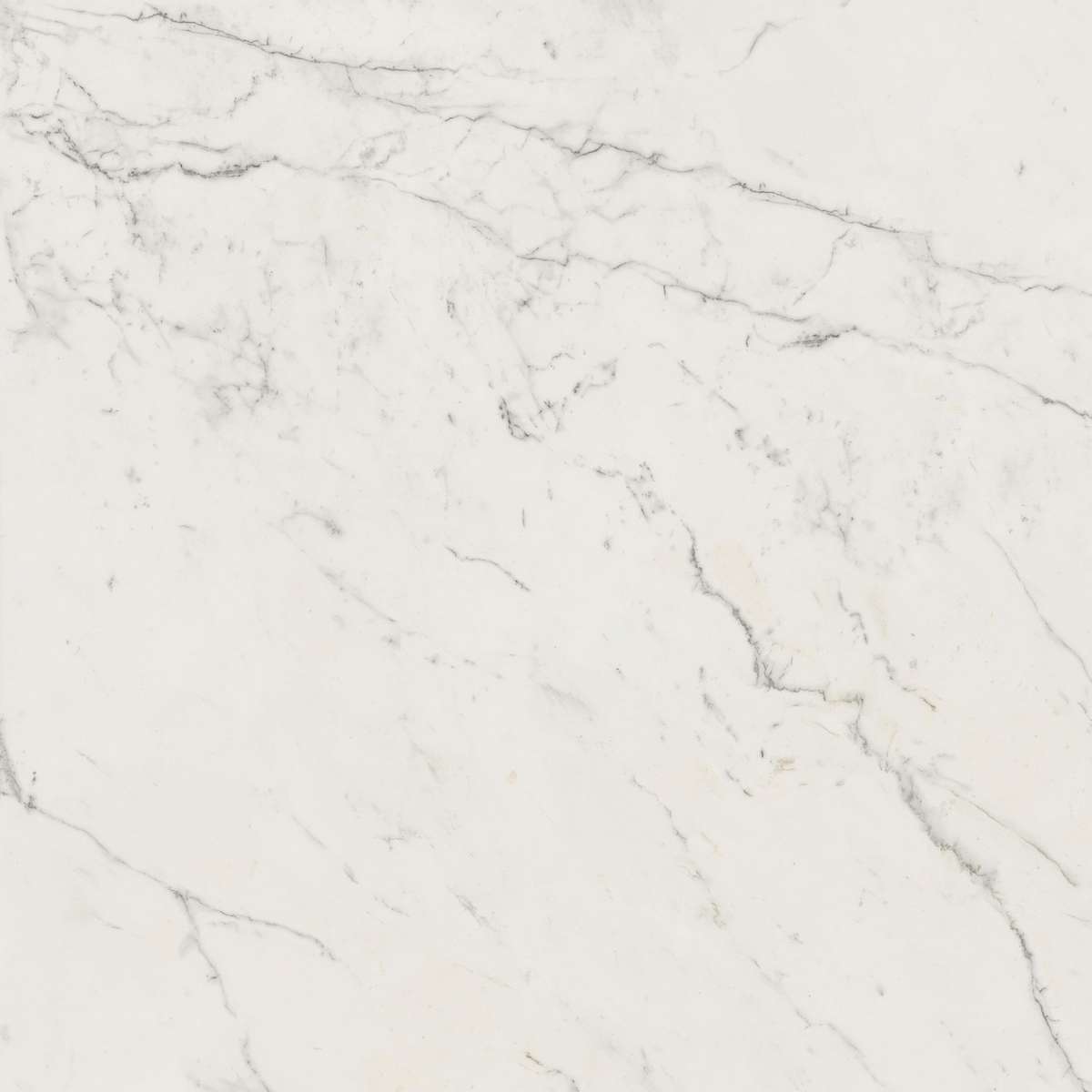 Керамогранит Marvel Calacatta Extra 120x120 (A20Y)
