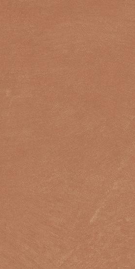 Керамогранит Ape Ceramica Anti-Slip Argillae Coral Rect 30х60