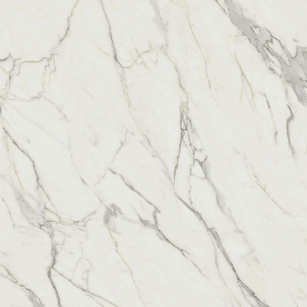 Керамогранит Marvel Calacatta Extra 120x120 (A20Y)