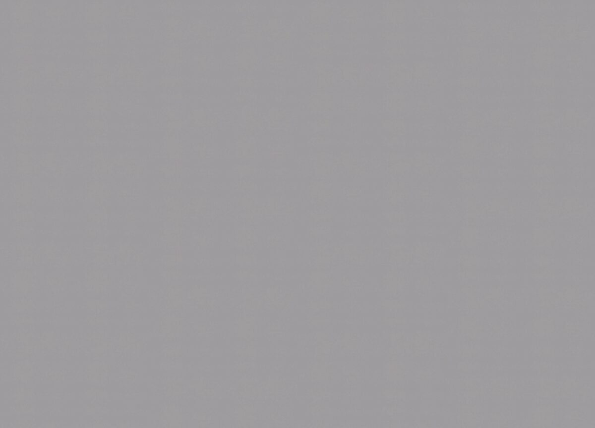 A100116 Обои ARTSIMPLE (Mixture) (1*6) 10,00x1,06 винил на флизелине