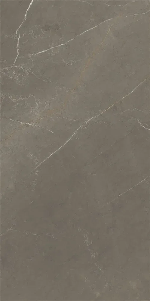 Керамогранит Villeroy&Boch Marmochic Дымчатый Жемчуг FLPR 9mm 60х120