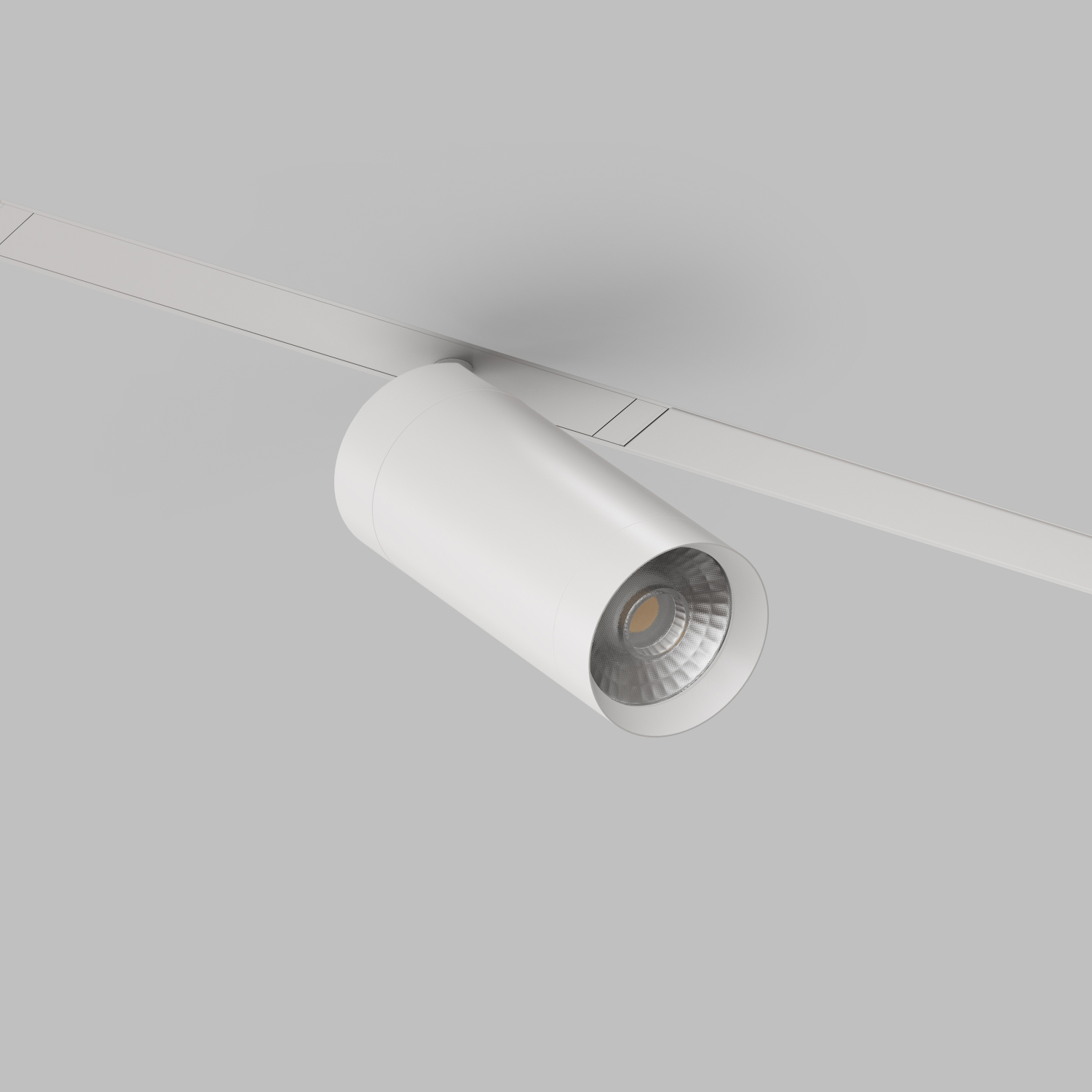 Трековый светильник Denkirs DK8020-WH