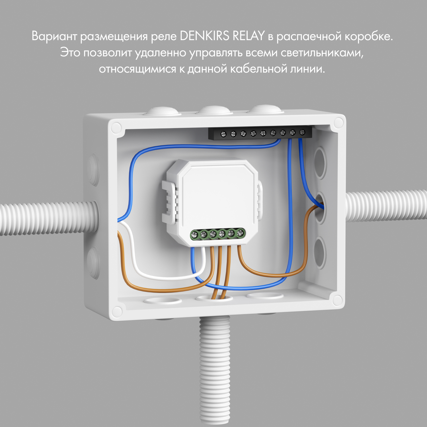 Одноканальное Wi-Fi реле-выключатель Denkirs RL1001-SM/1