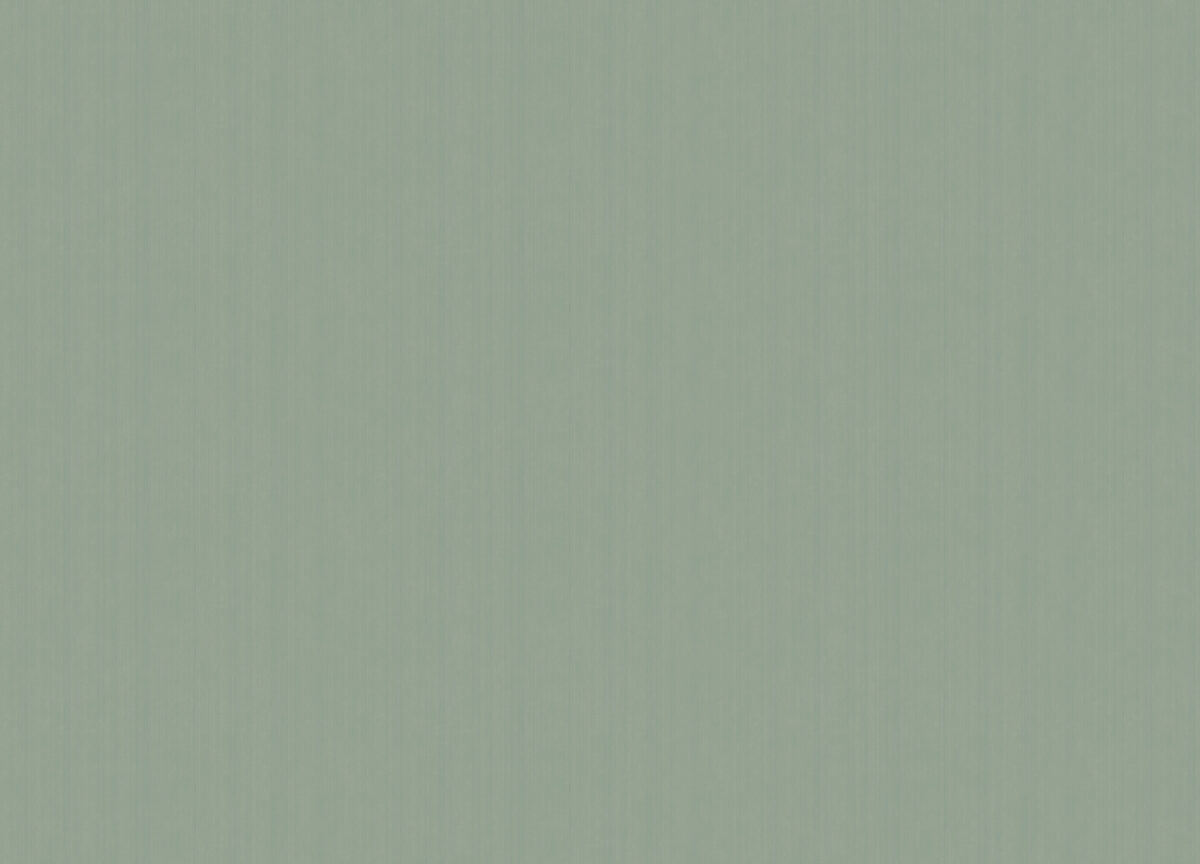 ARTS4 005/1  Обои Artsimple (Mozart) (1*6) 10,05x1,00 флизелин