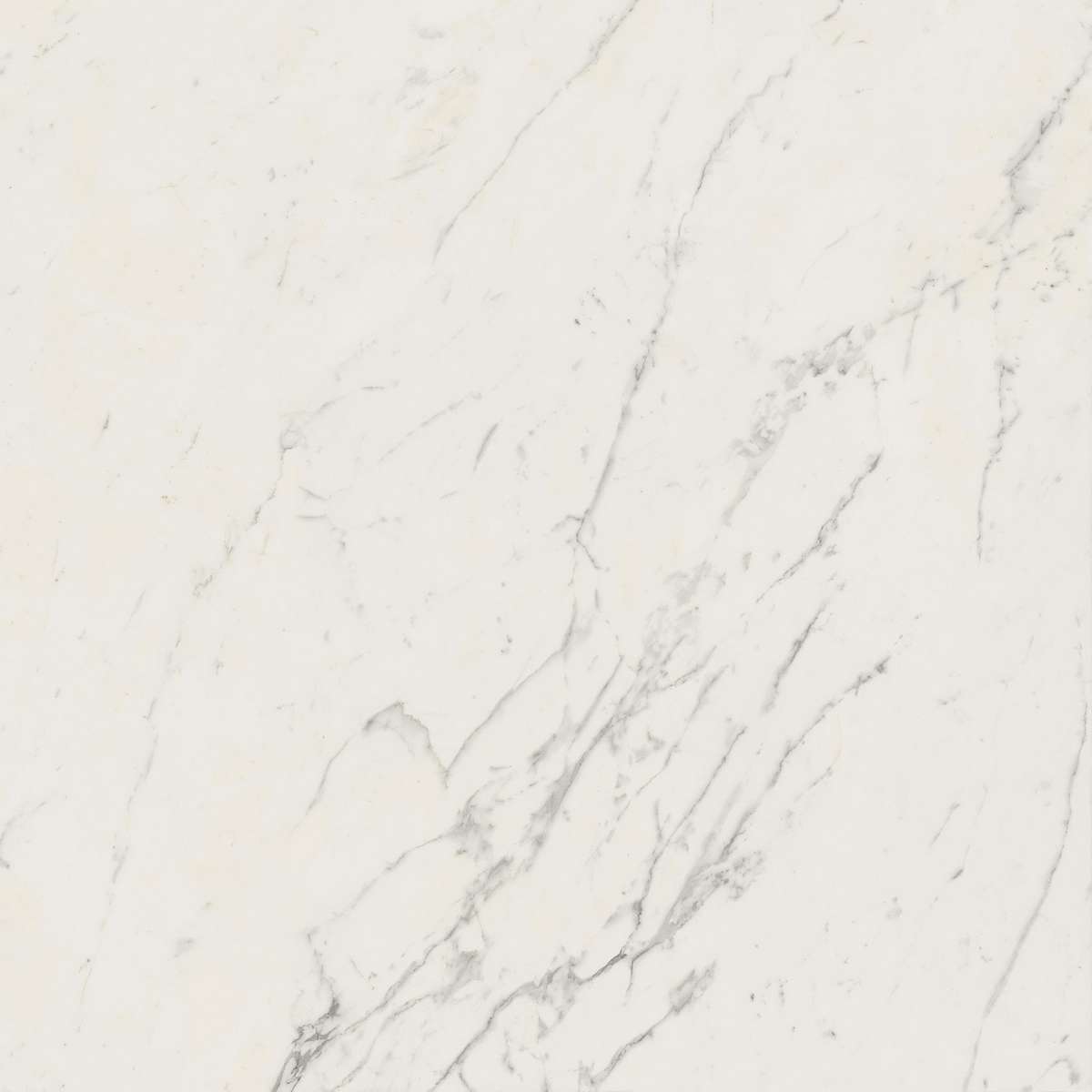 Керамогранит Marvel Calacatta Extra 120x120 (A20Y)