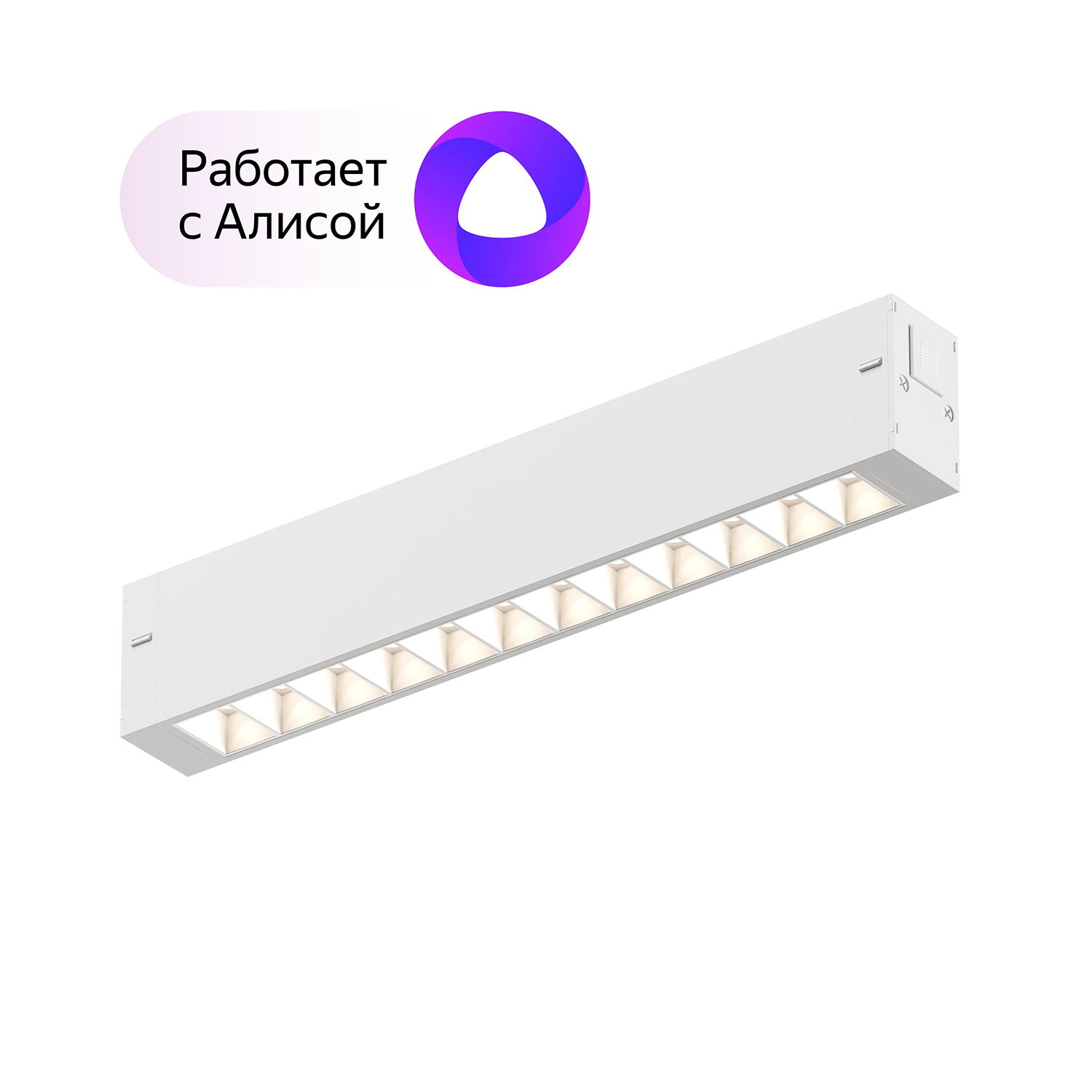 Трековый светильник Denkirs DK8001-WH