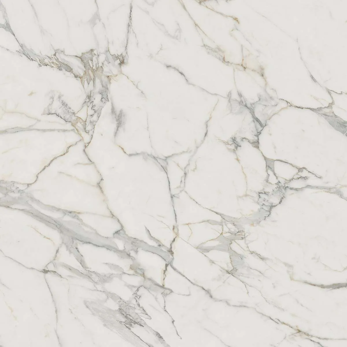 Керамогранит Marvel Calacatta Extra 120x120 Lappato (AY2R)