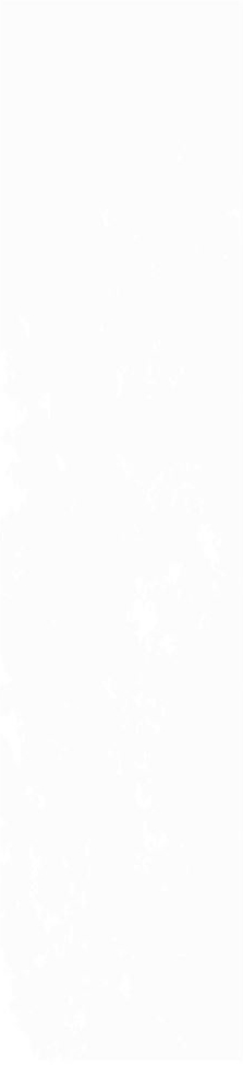 Керамическая плитка Creto Плитка Magic White 5,85x24