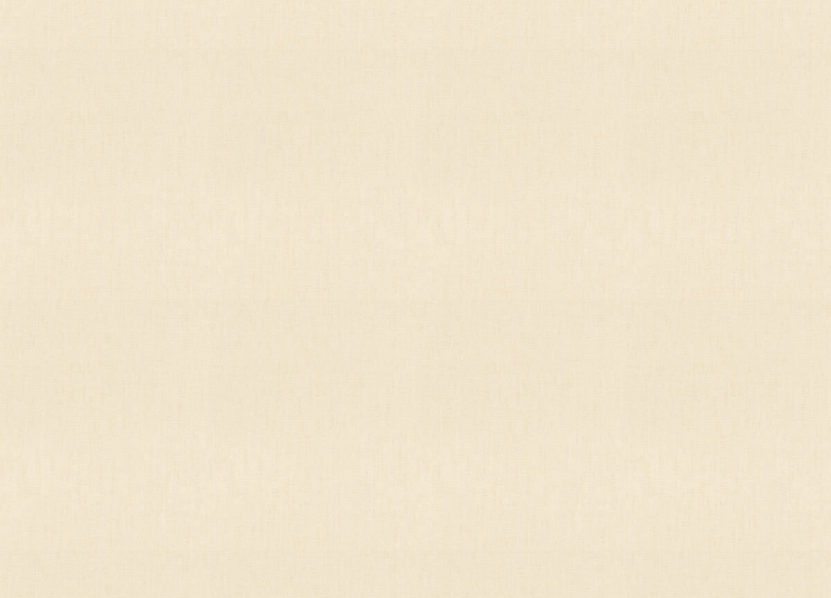 820713 Обои Rasch (Florentine Incanto) (1*6) 10,05x1,06 винил на флизелине