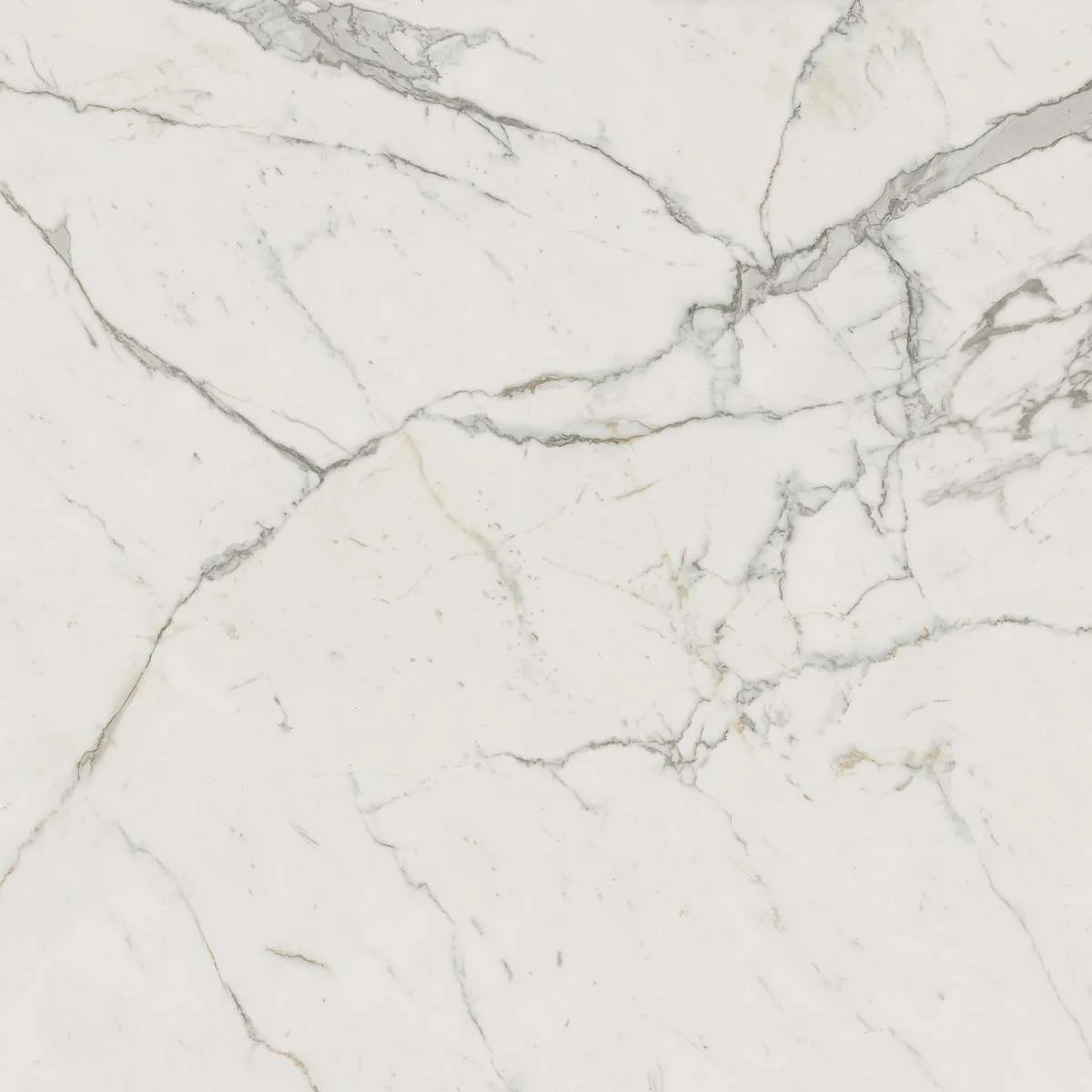 Керамогранит Marvel Calacatta Extra 120x120 Lappato (AY2R)