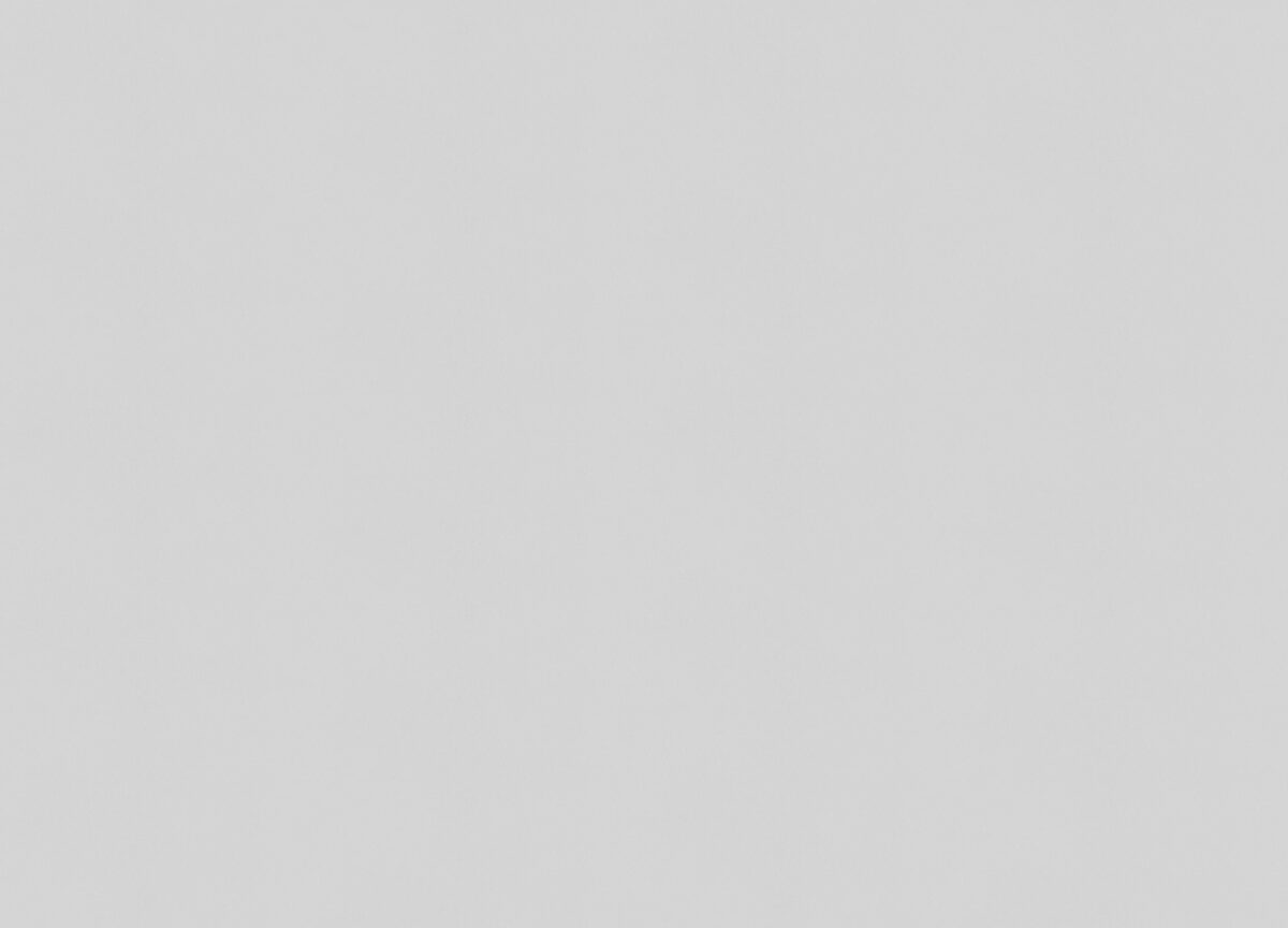 A100315 Обои ARTSIMPLE (Mixture) (1*6) 10,00x1,06 винил на флизелине