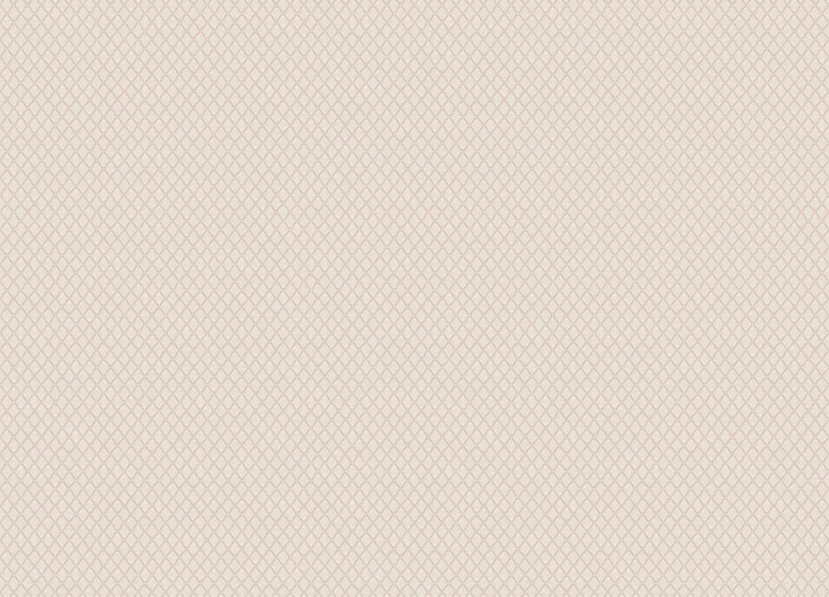 15538 Обои Zambaiti (Mini Trend) (1*6) 10,05x0,53 винил на флизелине