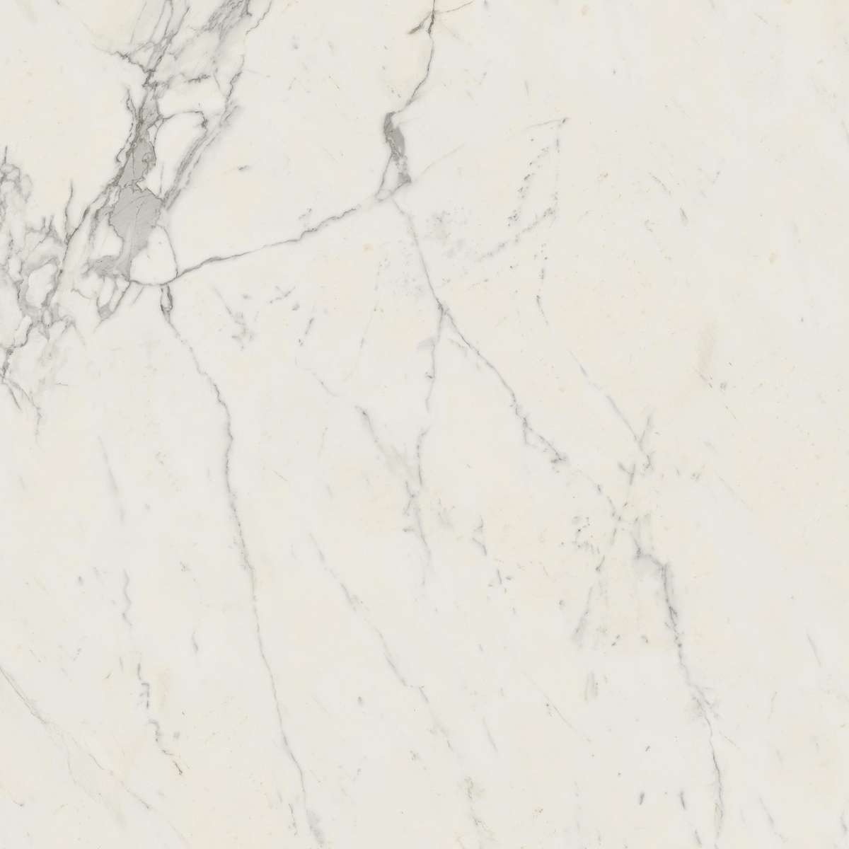 Керамогранит Marvel Calacatta Extra 120x120 (A20Y)