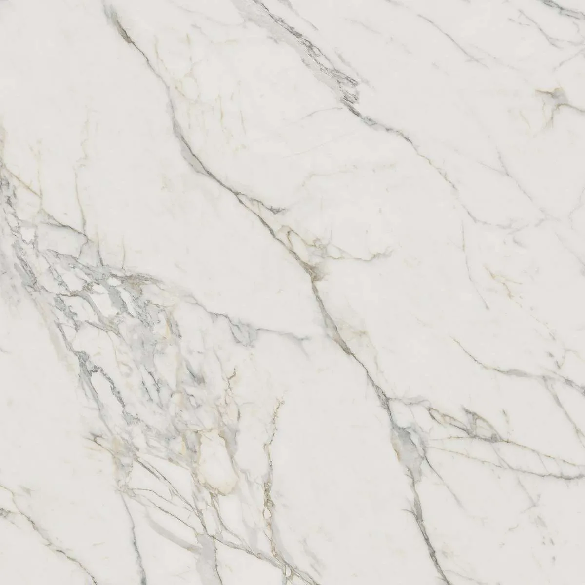 Керамогранит Marvel Calacatta Extra 120x120 Lappato (AY2R)