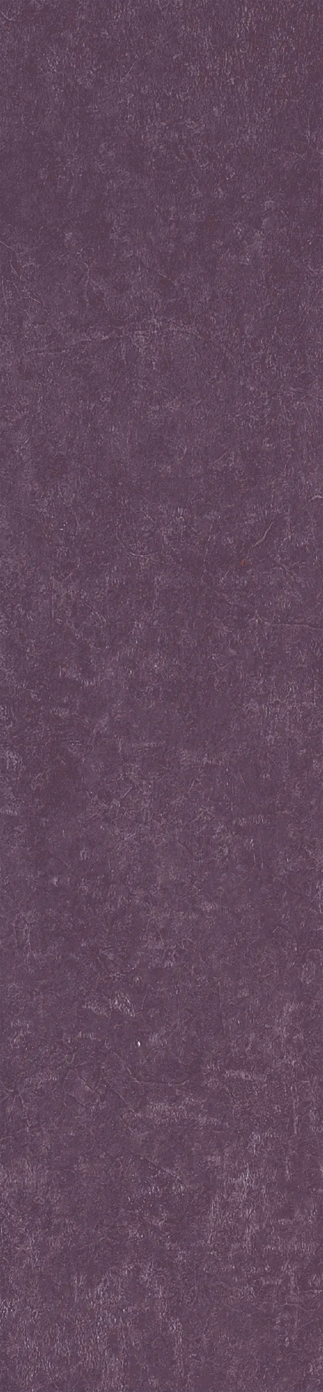 Керамогранит Simpolo Scs Spectra Wine 5,8х25
