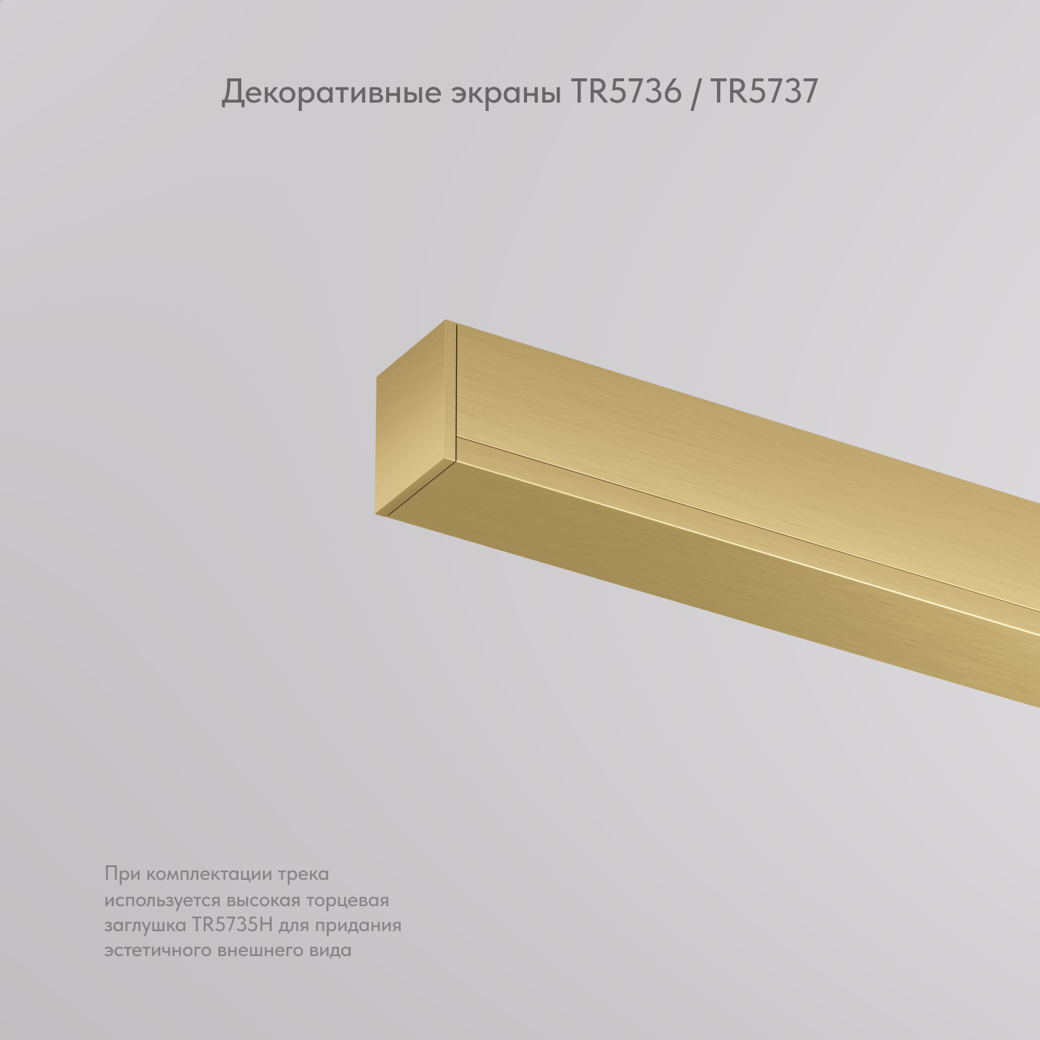 Декоративная заглушка желоба трека SHINE BASE TR5737-SB