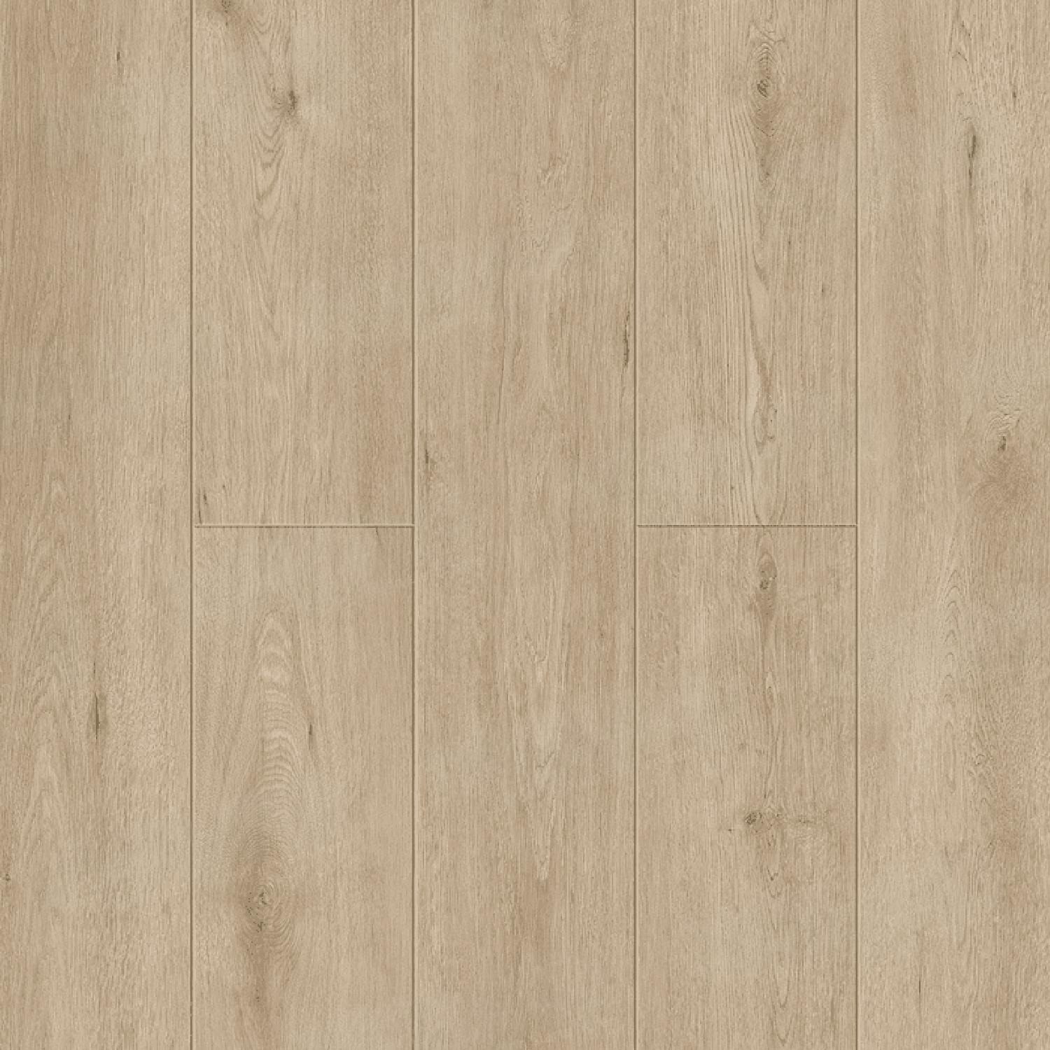 Abbi 1006-1