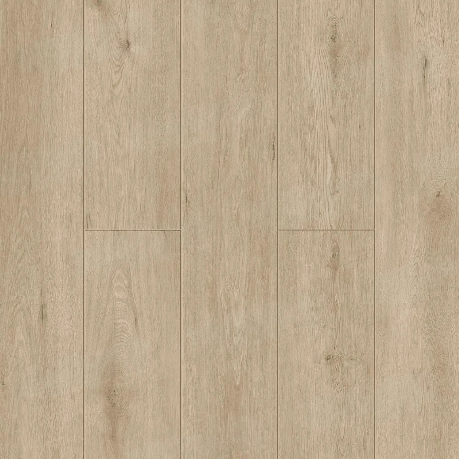Abbi 1006-1
