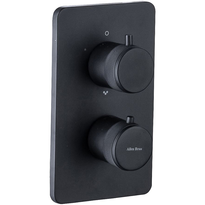 Термостат для душа Allen Brau Priority 5.31213-31 матовый черный, на 2 потребителя
