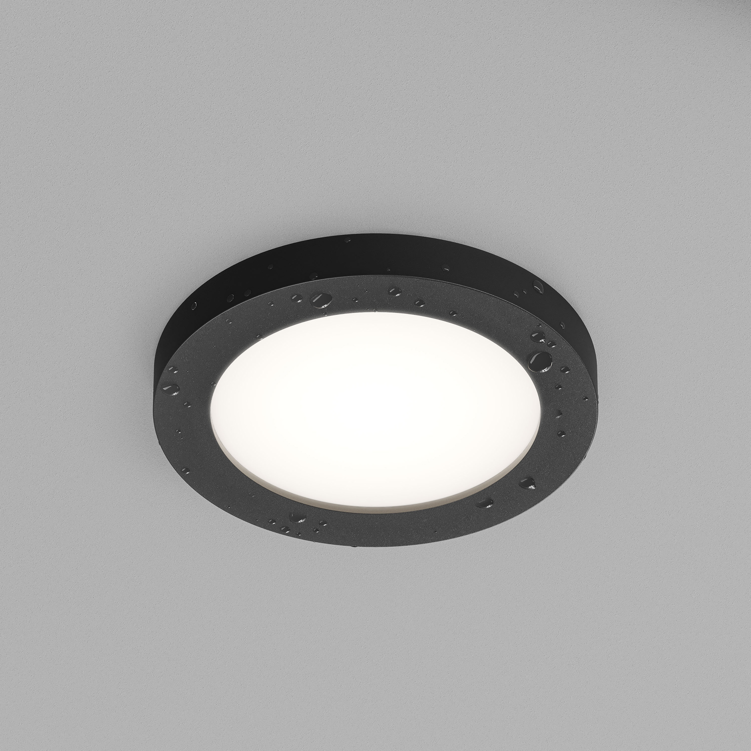 Влагозащищенный светильник Denkirs DK3012-BK